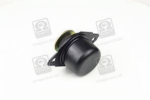 Подушка опори двигун. VW GOLF, PASSAT (-99) задн. лива (вир-во FEBI) 01107 UA58