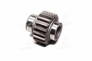 Зубчасте колесо постийного зачеплення Z=19 ЮМЗ (вир-во Украйна) 40-1701324 UA58