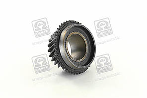 Шестерня КПП 5-й передачи вторинного валу ISUZU, Богдан Е2  8972412310DK UA58