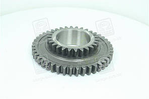 Шестерня промижна КПП МТЗ (Z = 43/26)  Ф50-1701056-Б UA58