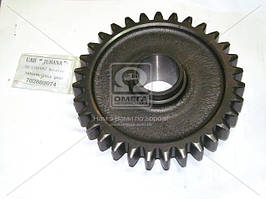 Шестерня промижна задн. ходу МТЗ, Z=31 (ТМ JUBANA) 70-1701082 UA58