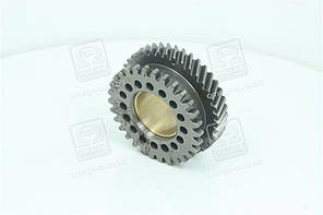 Шестерня приводу ТНВД (МТЗ, Д-240)  240-1006311-В UA58