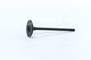 Клапан двигуна IN FORD/MAZDA MONDEO/5 SEBA/CJBA/CJBB/AODA/LF 35X5.5X103.4 (вир-во AE) V98032 UA58