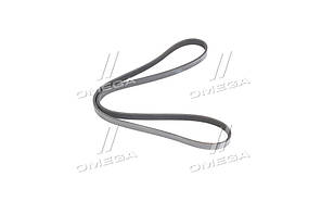 Реминь кондиционера и ГПК CHERY TIGGO (5pk1395) (RIDER) RD.T113701315 UA58