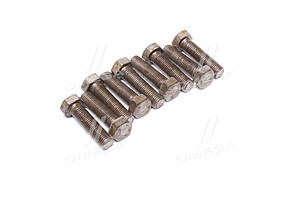 Болт М16х60х2,0 шестигранний (1кг = 1 компл) ГОСТ 7798-08 (Украйна) М16х60 UA58