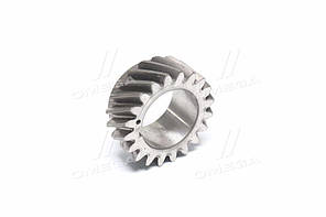 Шестерня коленвала Д-240, 243, 245 Z = 20 240-1005030-А UA58