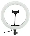 Кільцева LED лампа діаметром 12"-028 (30 см) з пультом Black, фото 2
