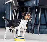 Іграшка для домашніх собак WOOF GLIDER, Іграшка-пищалка для собак, фото 6