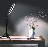 Кільцева LED лампа M-33 RING FILL LIGHT (33см), Кільцеве світло, Світлова лампа кільце, фото 8