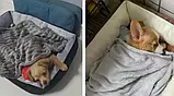 Підстилка для собак і котів 67х55 см, Лежак для домашніх тварин, Ліжко для собак і котів, фото 4