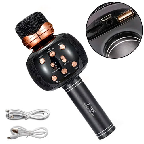 Микрофон караоке беспроводной с колонкой Bluetooth USB FM WS-2911 SKL - фото 1 - id-p1864396717