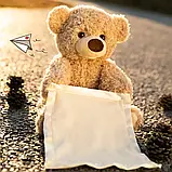 Дитяча інтерактивна іграшка Ведмедик Peekaboo Bear (Пікабу) Brown 30 см, Ведмедик, що говорить, Розумний ведмедик іграшка, фото 6