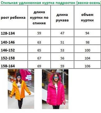 Куртка демісезонна для дівчинки 2388, розміри 128-164, фото 4