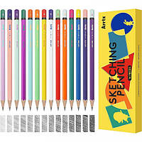 Набір професійних олівців Artx для малювання (AOP-0114A), 14 шт (LC303571)
