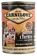 Влажный корм Carnilove Salmon & Turkey для щенков, лосось и индейка, 400 г