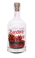 Суміш для коктейлю Drink Master "Bandera smothie"