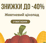 Жовтневий цінопад - знижки до 40% 🍁