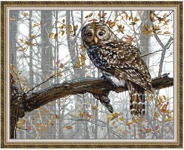 Набір для вишивання за нанесеною на канву схемою "Owl 14". AIDA 14CT printed 44*35 см