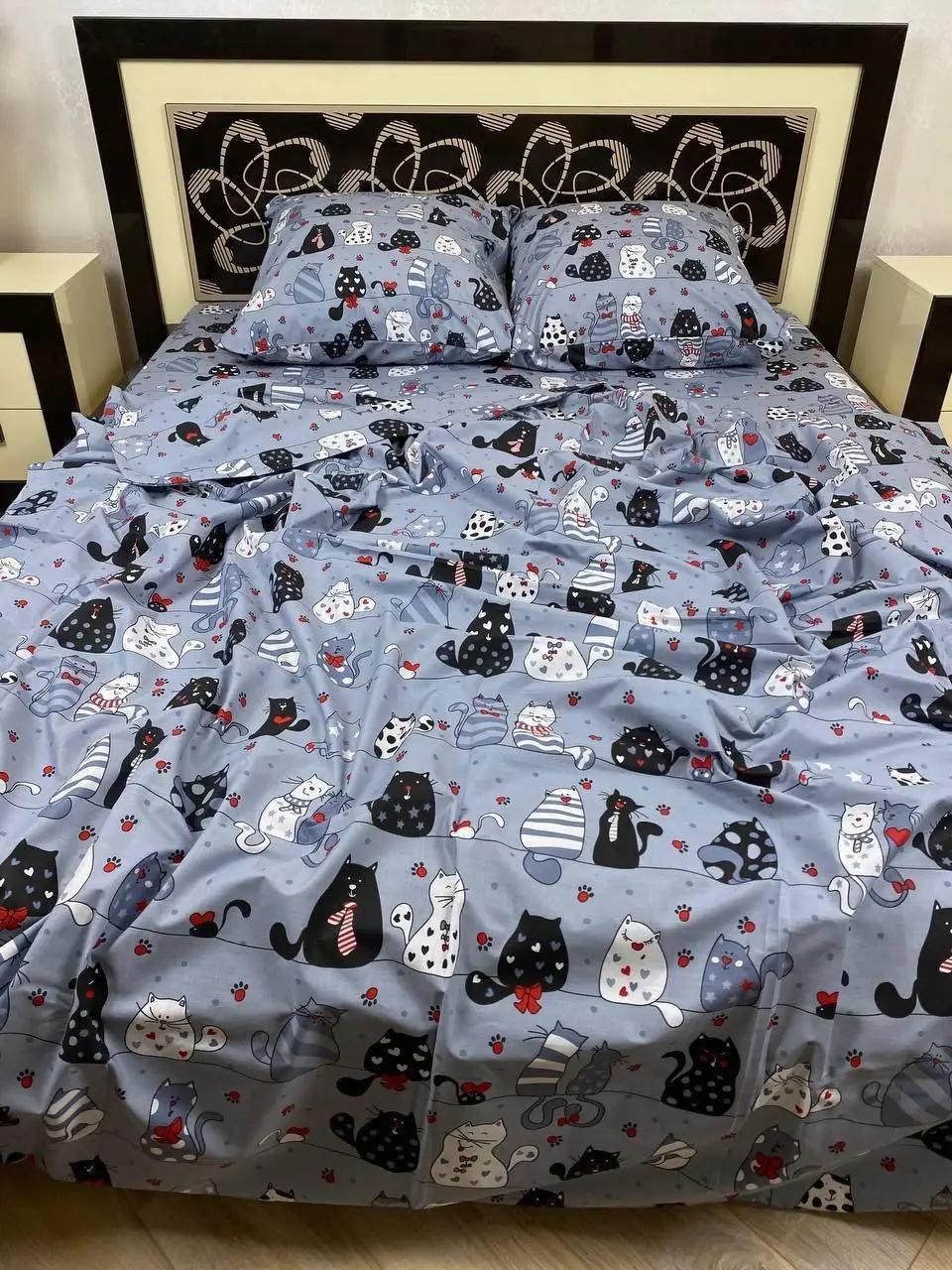 Двоспальний комплект постільної білизни стандартний, принт: Котики на сірому