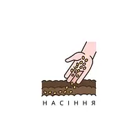 Насіння 