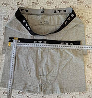 Труси чоловічі сірі з чорною резинкою (FTS) M 95%бавовна, 5%еластан