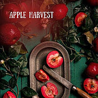 Аромамасло премиум "Кожица яблока, апельсин, корица, гвоздика", США, 10-100 г, "Apple Harvest". Candle Science