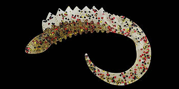 Силіконова приманка Relax Viper 3" колір TS031