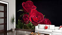 3D Фото обои "Алые розы на черном фоне" - Любой размер! Читаем описание!