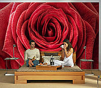 3D Фото обои "Бархатная красная роза" - Любой размер! Читаем описание!