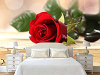 3D Фото обои "Бутон красной розы" - Любой размер! Читаем описание!