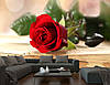3D Фото шпалери "Бутон червоної троянди" - Будь-який розмір! Читаємо опис!, фото 2