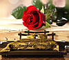 3D Фото шпалери "Бутон червоної троянди" - Будь-який розмір! Читаємо опис!, фото 6