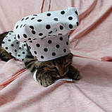 Костюм повара для улюбленця, котика , песика, фото 4