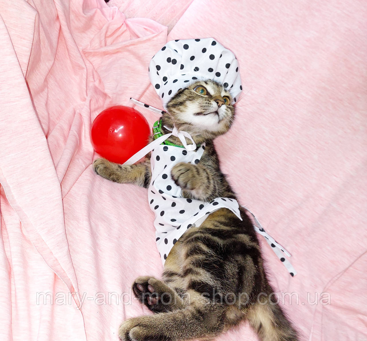 Костюм повара для улюбленця, котика , песика