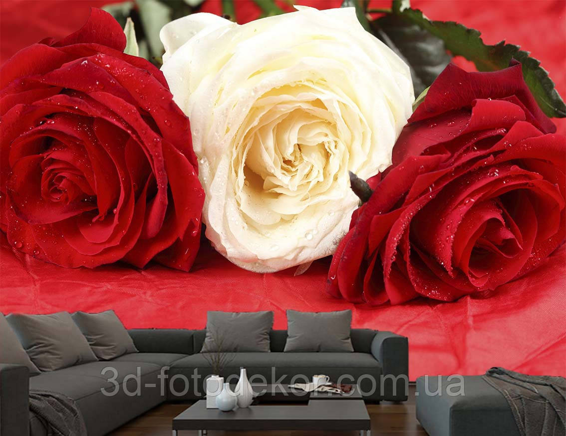 3D Фото шпалери "Червоні та білі троянди" - Будь-який розмір! Читаємо опис!, фото 1
