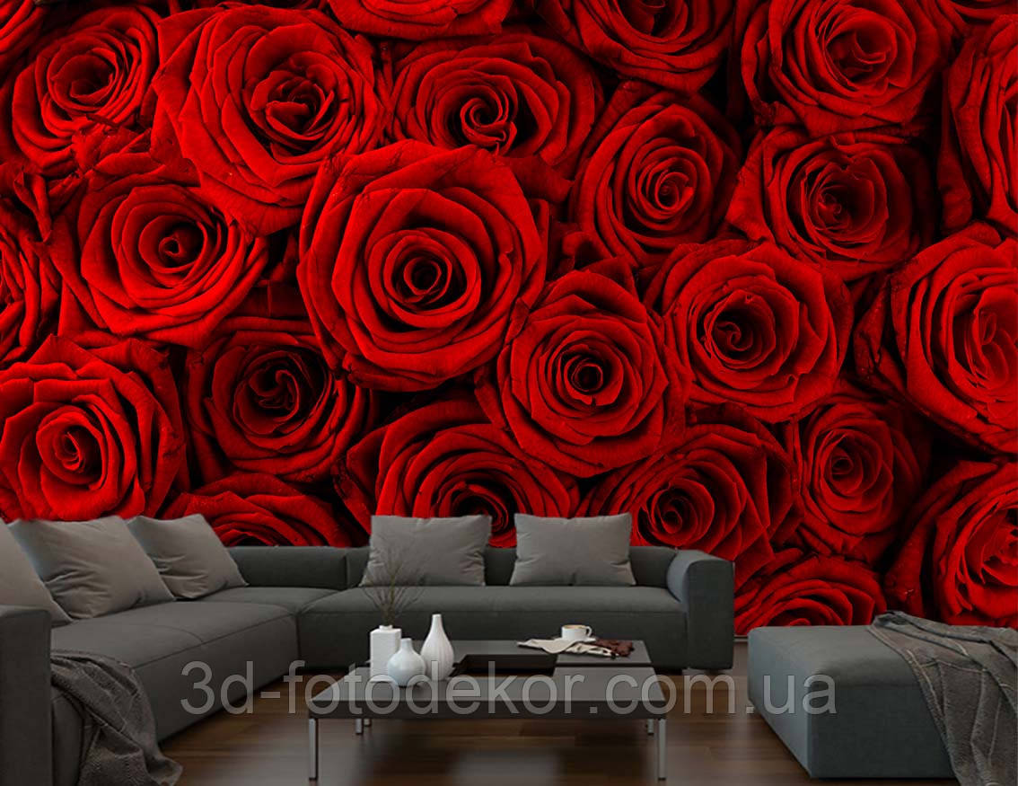 3D Фото шпалери "Червоні троянди крупним планом" - Будь-який розмір! Читаємо опис!