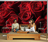 3D Фото обои "Красные розы с блестками" - Любой размер! Читаем описание!