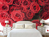 3D Фото шпалери "Червоні троянди з пелюстками" - Будь-який розмір! Читаємо опис!