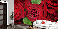 3D Фото обои "Красные розы с листочками" - Любой размер! Читаем описание!