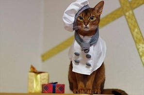 Прикраси для домашних улюбленців