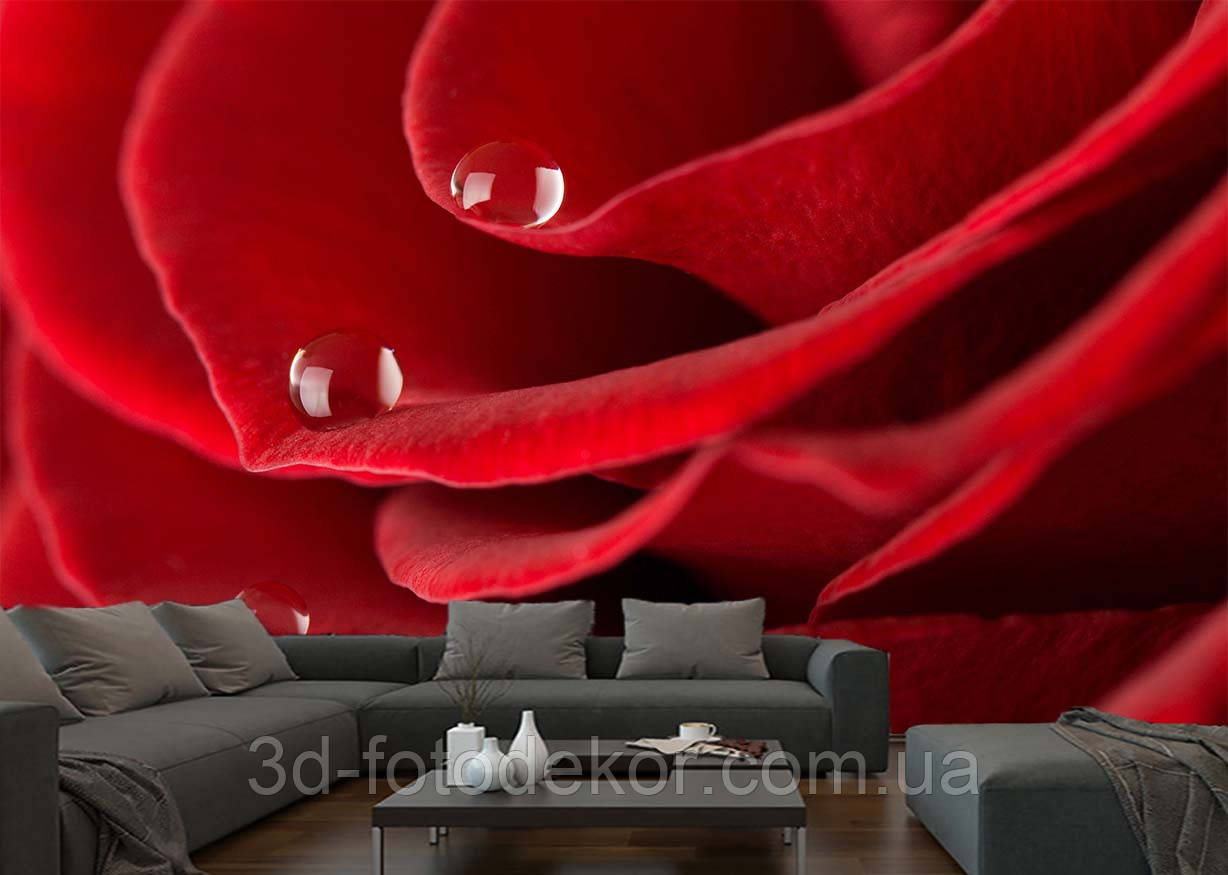 3D Фото шпалери "Троянда та краплі роси" - Будь-який розмір! Читаємо опис!