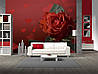 3D Фото шпалери "Роза кохана" - Будь-який розмір! Читаємо опис!, фото 6