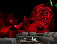 3D Фото обои "Роза с лепестками" - Любой размер! Читаем описание!