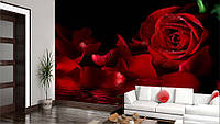 3D Фото обои "Роза с лепестками над водой" - Любой размер! Читаем описание!