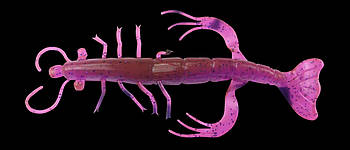 Силікон Shrimp 3" колір S175 (10 шт.)