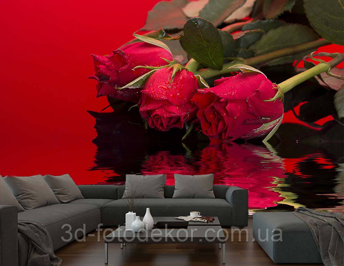 3D Фото шпалери "Три червоні троянди над водою" - Будь-який розмір! Читаємо опис!