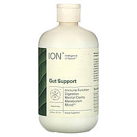 ION Biome, Gut Health, Mineral Supplement, 16 fl oz (473 ml) Днепр
