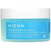 Mizon, Крем Water Volume EX, 100 мл (3,38 жидк. Унции) Днепр