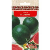 КАНУН ОГОНИК (5Г)