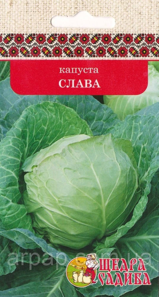 КАПУСТА СЛАВА (3Г), фото 1